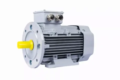 Электродвигатель ESQ PR 80 А4 GST-Б1-S12-IE2 IM2081