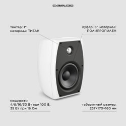 CVGAUDIO ODF516TW Двухполосная настенная акустическая система