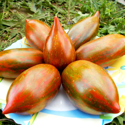 Помидоры Сластёна - Sweet Tooth Tomato