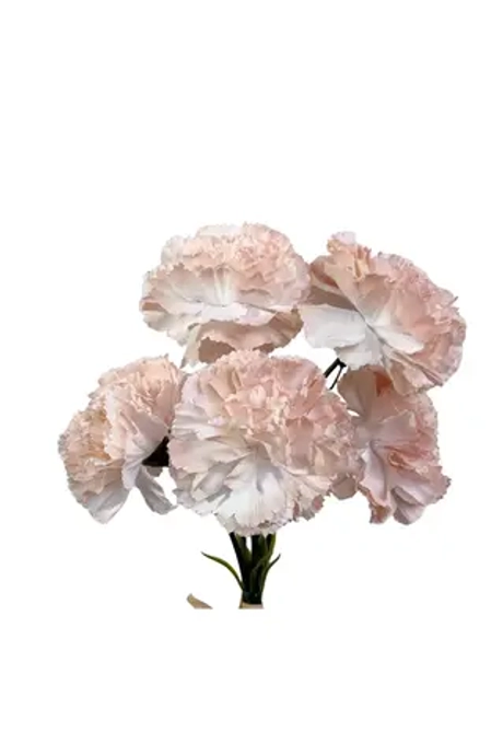 Букет Гвоздик из 5 шт