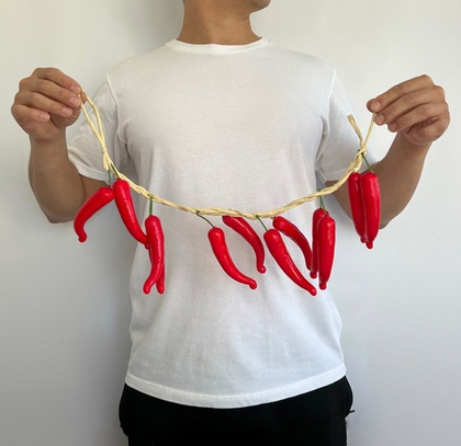 Перец Чили / Арт. 7016