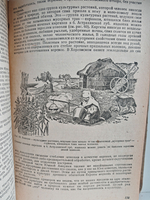 История растительного мира СССР