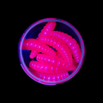 Форелевая приманка "Minoga" MAGGOT 1,6"(8шт) 40мм, 2,5гр, цвет 05