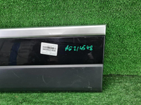 Накладка двери задняя RR Vogue 4 L405 (12-22) Long