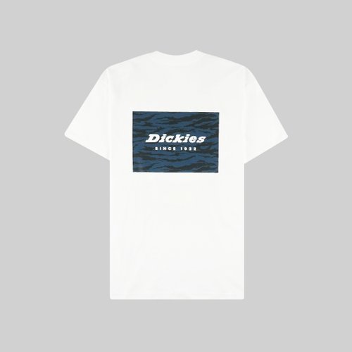 Футболка мужская Dickies Quamba артикул:DK0A4X9JWHX1 - купить в магазине Дайс