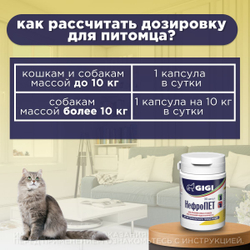 Капсулы от почечной недостаточности у собак и кошек GiGI НефроПЕТ, 30 капсул