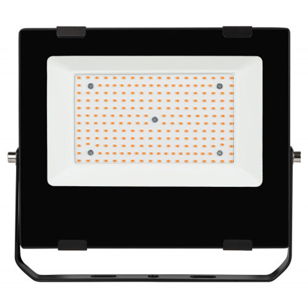 Фитопрожектор для растений светодиодный ЭРА FITO-100W-RB-LED для цветения и плодоношения красно-синего спектра 100 Вт