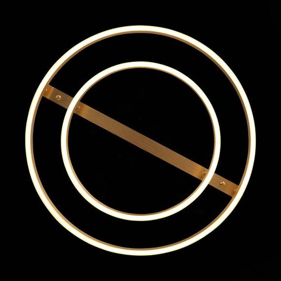 Потолочная светодиодная люстра ST Luce Onze SL944.202.02