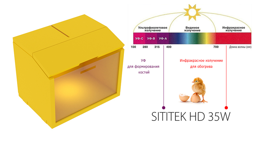 Брудер для цыплят "SITITEK HD 35W" расширенная комплектация