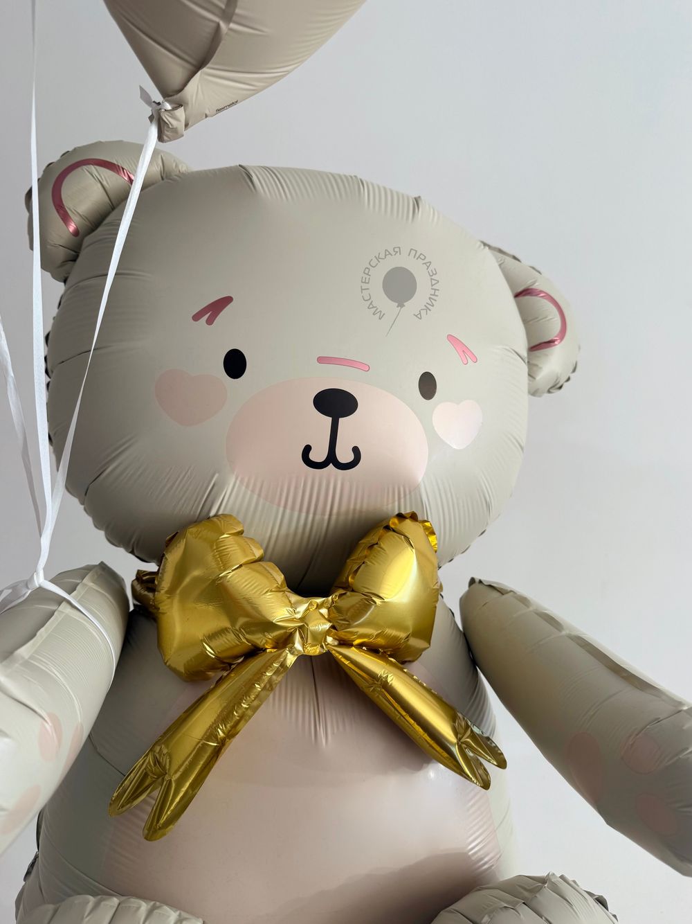 Воздушные шары для неё №8958  Изображение3