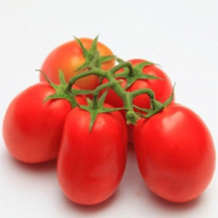 Монти F1 семена томата детерминантного (Seminis / Семинис)