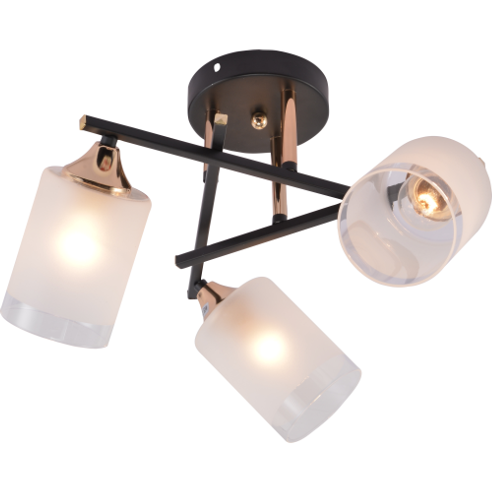 Люстра Rivoli Fiona 3163-303 3 х Е27 60 Вт модерн | Rivoli