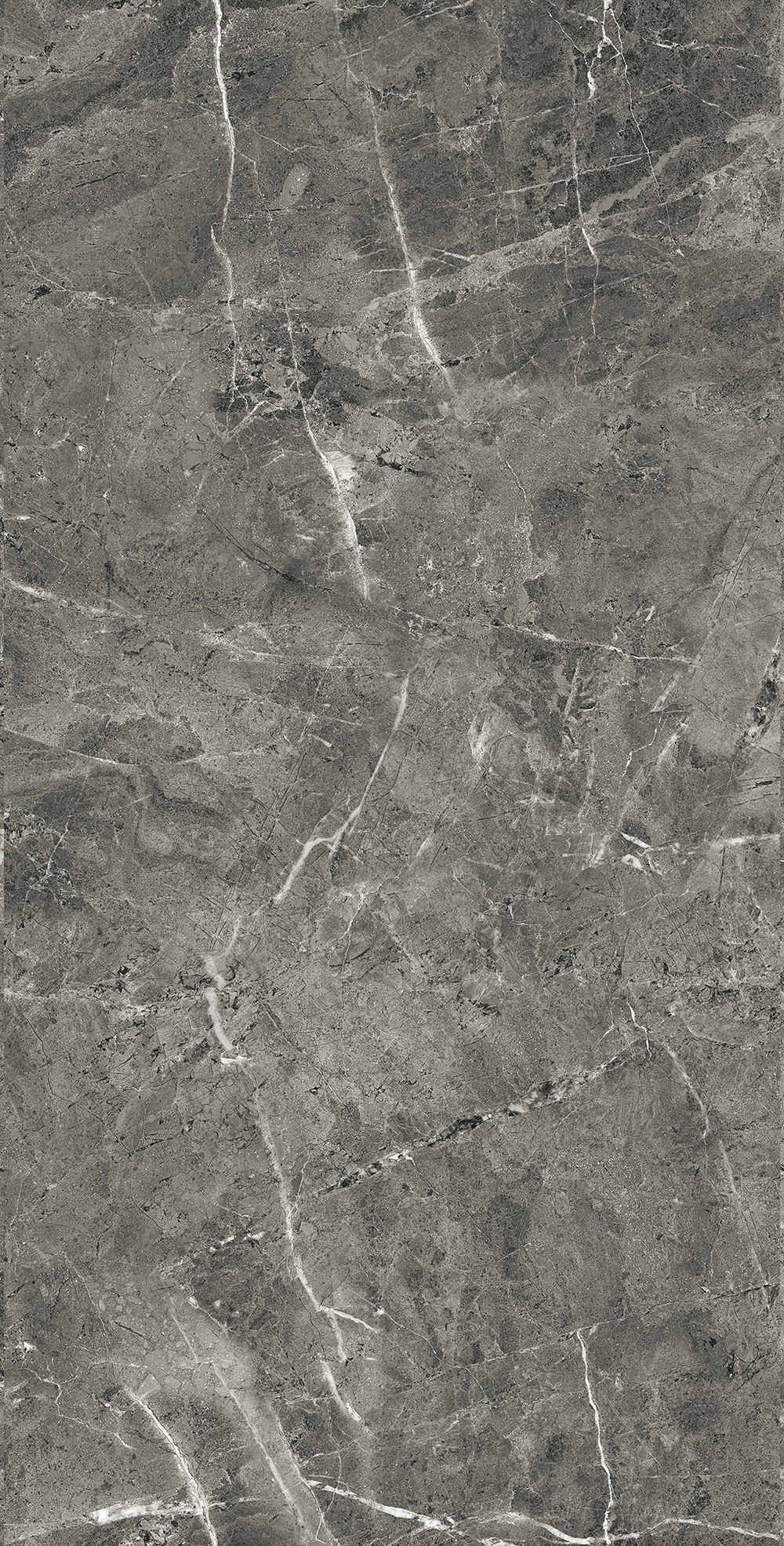 Керамогранит, Arcadia Ceramica, FLORENCIA GREY, 1200x600 мм, полированная