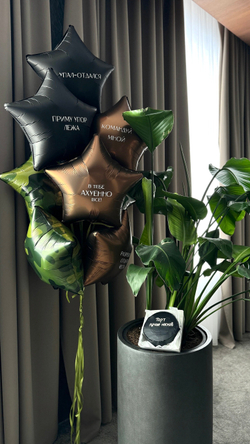 Шары к 23 февраля №49