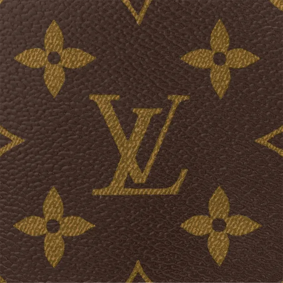 Держатель для карт Louis Vuitton Romy коричневый