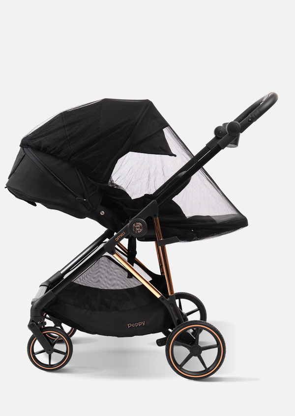 Peppy Коляска прогулочная Amici (Black) рама Gold (LX)