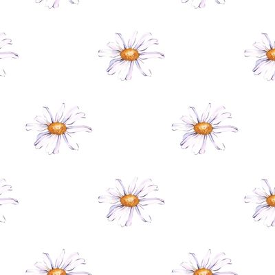 Узор с белыми ромашками на белом фоне