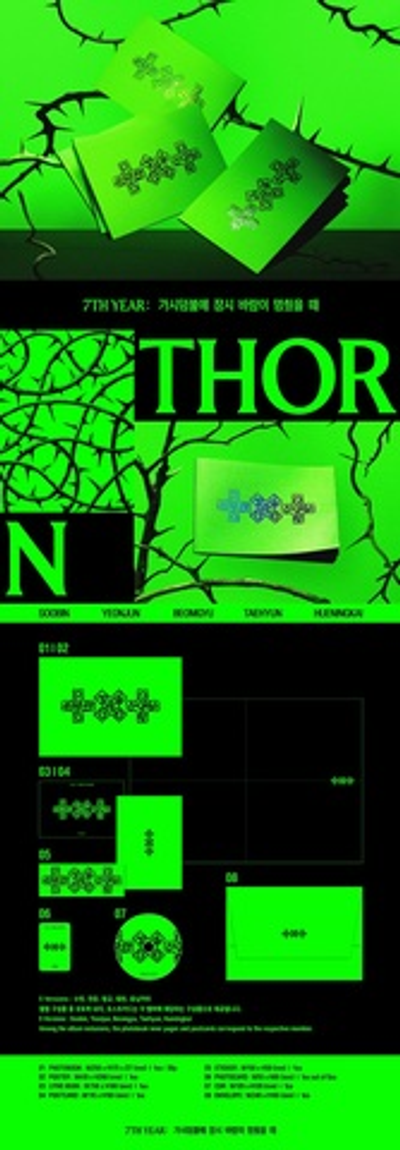 Альбом TXT - 7TH YEAR: A Moment of Stillness in the Thorns (THORN Ver.)