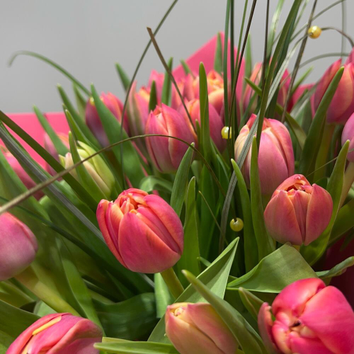 Тюльпан пионовидный