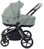Детская коляска Rant Flex Therm Soft 3 в 1 с автокреслом Evomax Grey Forest Green