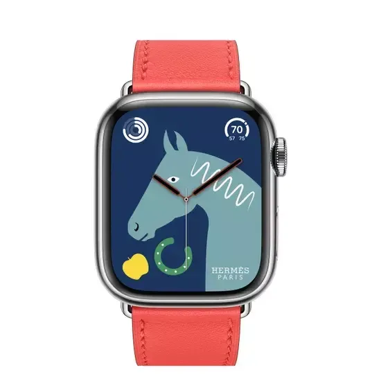 Apple Watch Hermès 41mm Silver Stainless Steel Case with Single Tour Rose Texas