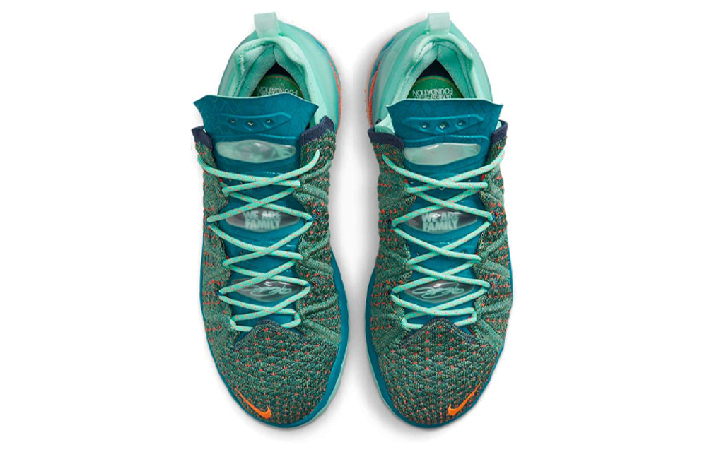 Кроссовки Nike Lebron 18 "We Are Family"