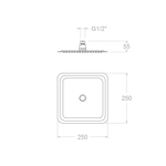 Квадратная насадка для верхнего душа HYDROTHERAPY RK250