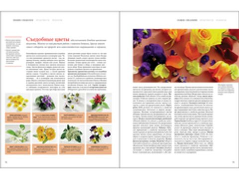 Специи. Большая кулинарная книга