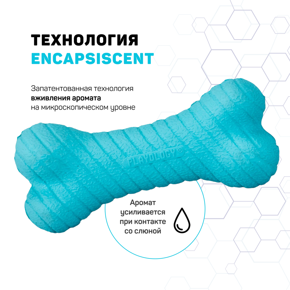 Playology двухслойная жевательная косточка DUAL LAYER BONE для собак средних и крупных пород с ароматом арахиса, большая, цвет голубой