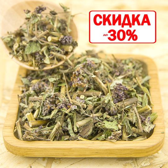 Душица (трава)