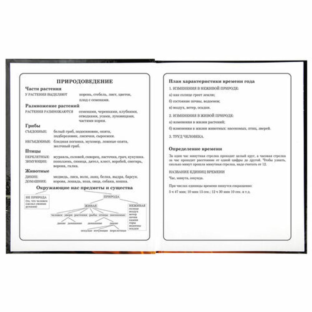 Дневник 1-4 класс 48 л., твердый, BRAUBERG, глянцевая ламинация, с подсказом, "Fire Road", 106356