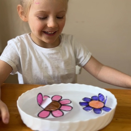 Необычный опыт с цветами