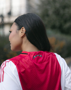 Аякс / Домашняя / Игровая