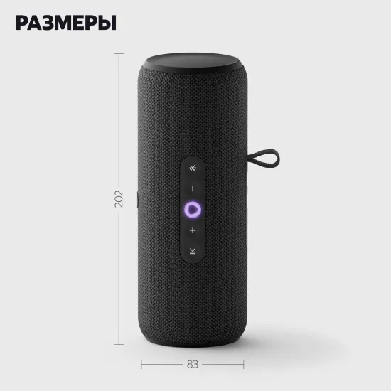Умная колонка Яндекс Станция Стрит, с голосовым помощником Алиса, черная