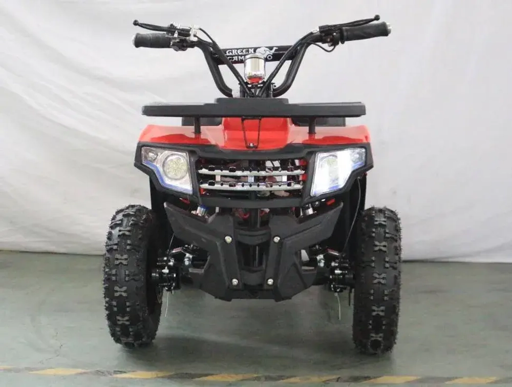 Электроквадроцикл Green Camel Гоби K24 (36V 800W R6 Цепь)