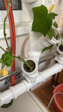 Стаканчик конусный