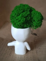 Кашпо статуэтка со мхом для интерьера