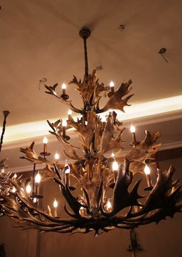ROLL&HILL Superordinate Antler Chandelier - 4