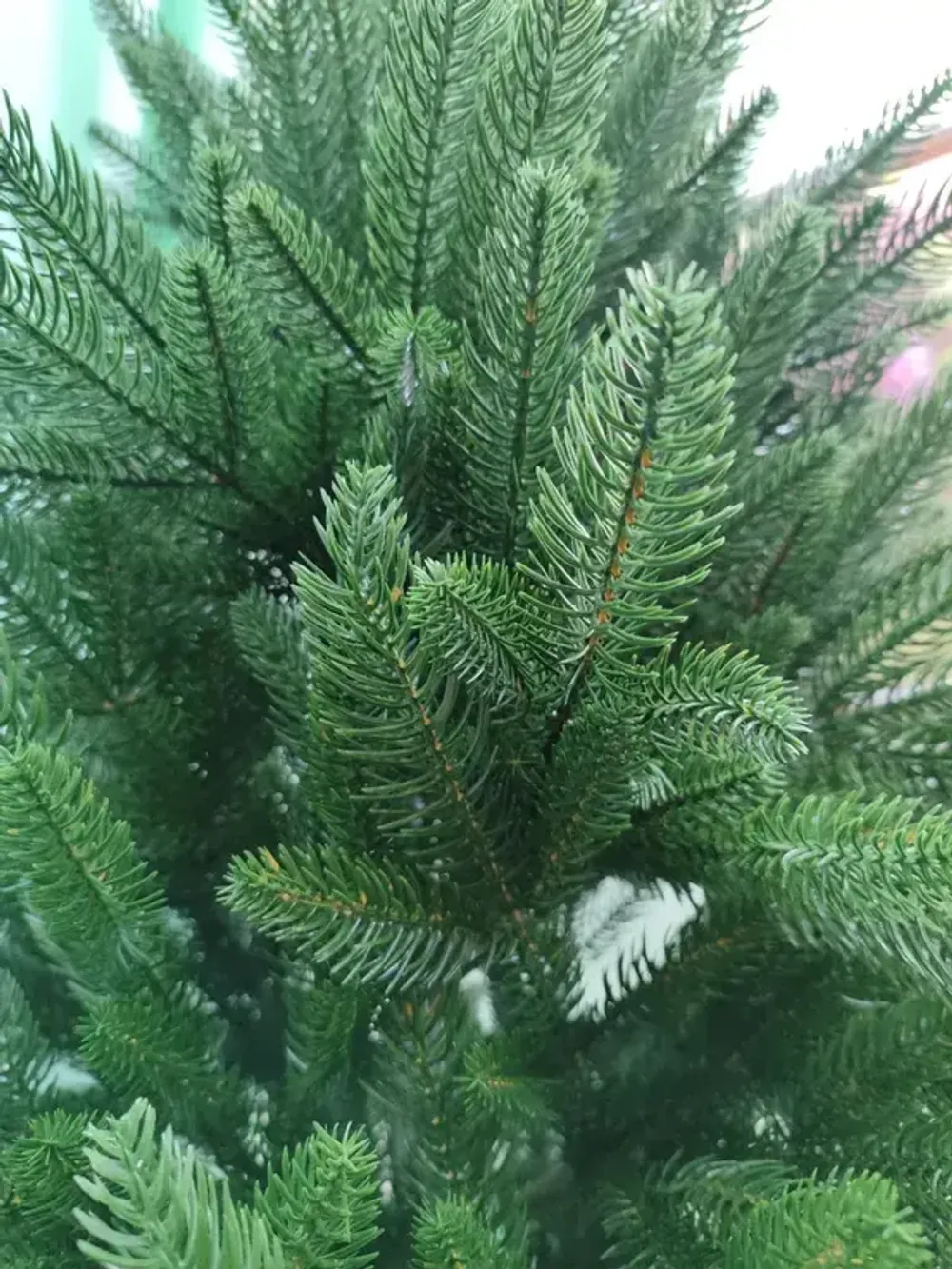 Ель искусственная «Веста» (Литая хвоя) 3 м