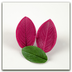 Комплект для лепки махровых шиповников