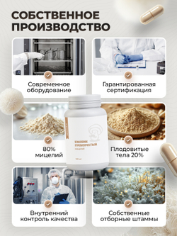 Ежовик гребенчатый мицелий капсулы