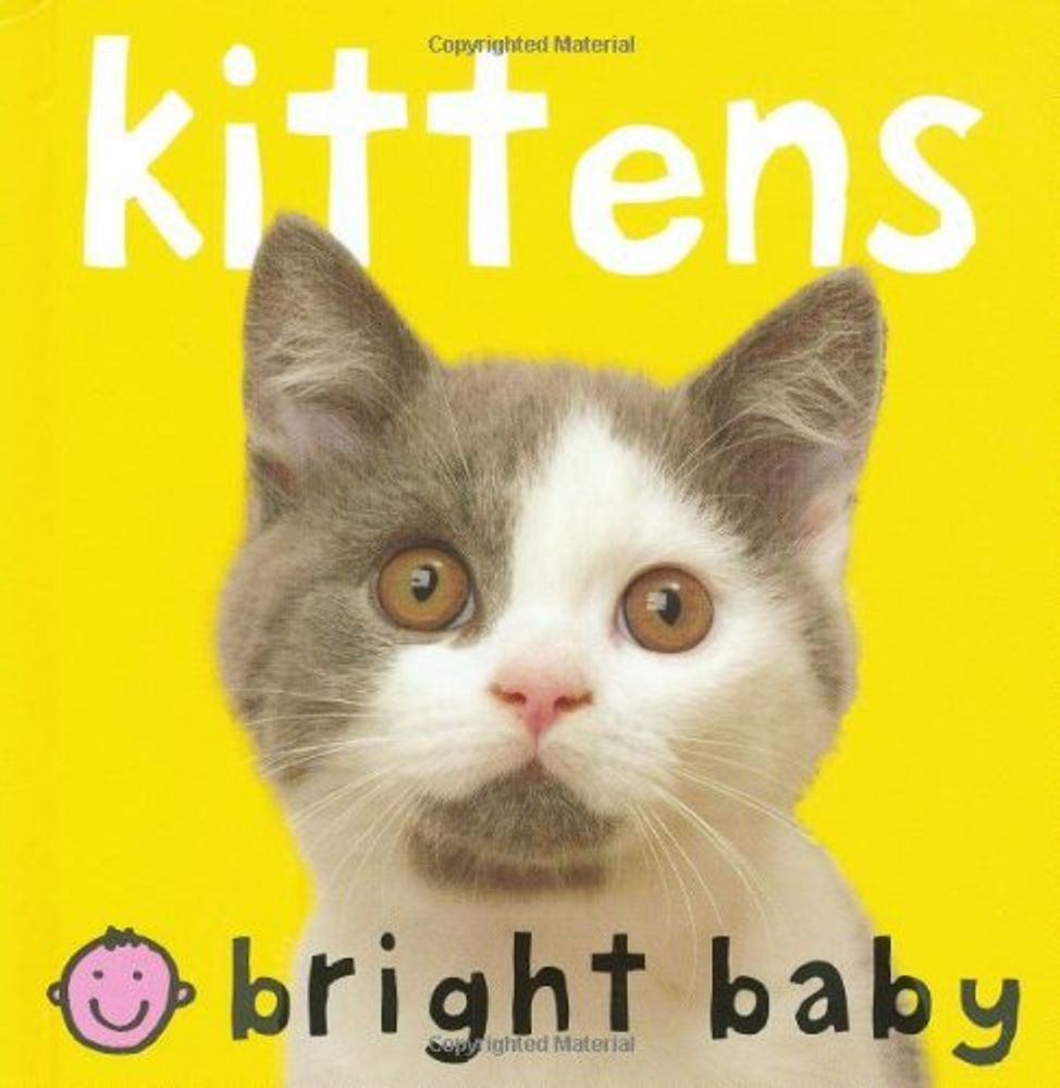 Kittens   board book