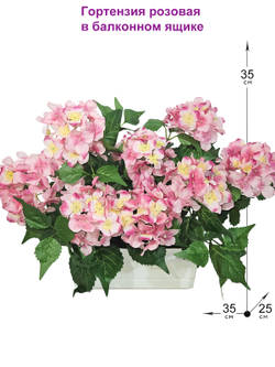 Гортензия розовая 35см в балконном ящике