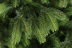 Ель искусственная Царь елка Беверли 120 см БВР-120