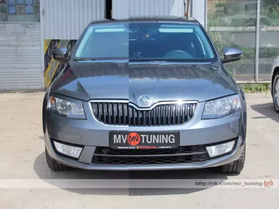 Реснички на фары для Skoda Octavia III A7