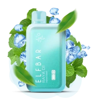 ELF BAR RAYA D1 - Miami Mint (5% nic)