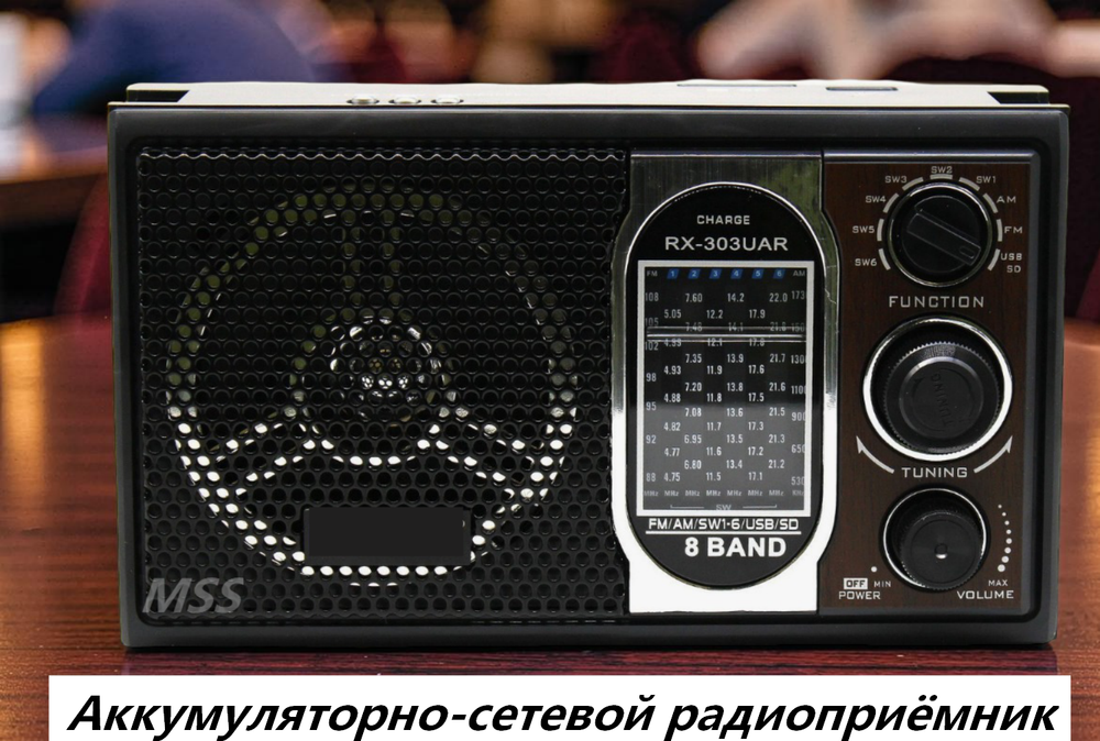 Радиоприемник переносной аккумуляторно-сетевой с MP3 плеером RX303UAR