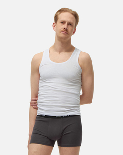 Трусы Anteater 3хBoxers-01