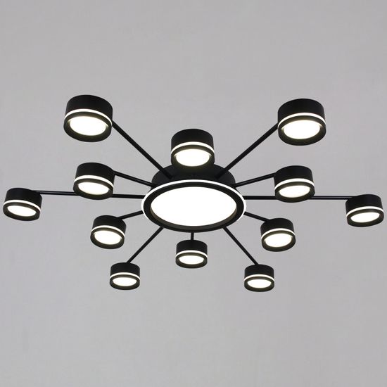 20590-0.3-6+6+1 Black светильник потолочный