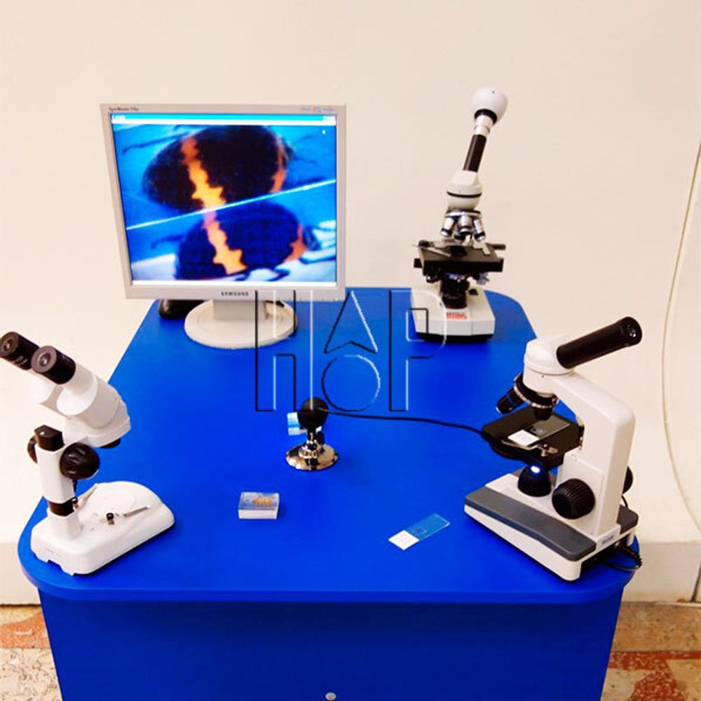 Учебный экспонат Стол с микроскопами